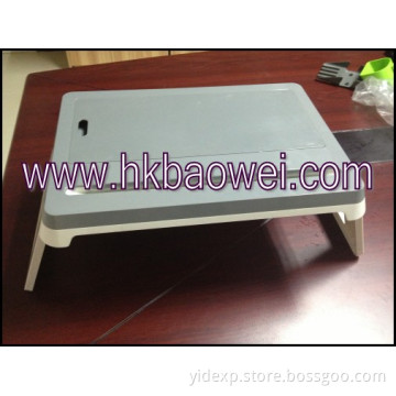 Note Computer Plastic Mold/Injection Molding
